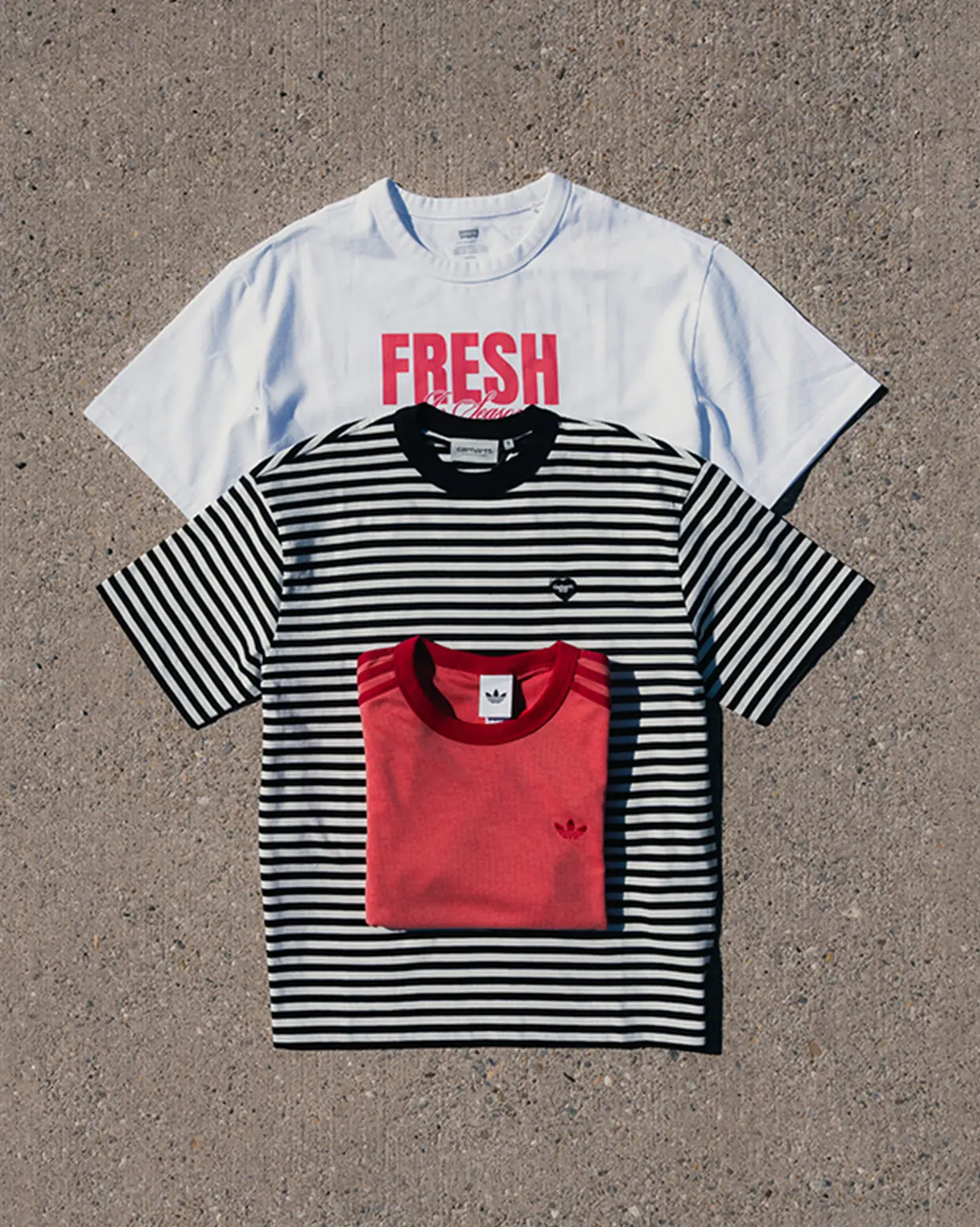 TEES